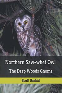 Northern Saw-whet Owl