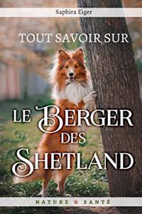 Tout Savoir sur le Berger des Shetland