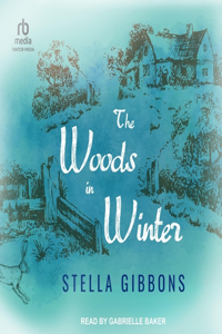 Woods in Winter