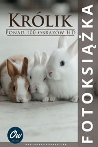 Królik: Fotoksi&#261;&#380;ka: Ponad 100 obrazów HD