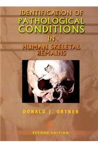 Identification of Pathological Conditions in Human Skeletal Remains