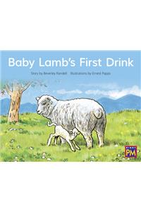 Baby Lamb's First Drink