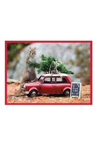 Secret Life of Squirrels Half Notecards
