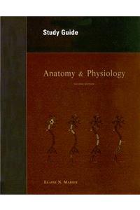 Anatomy & Physiology Study Guide