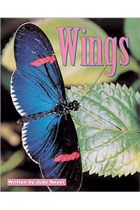 Wings, 6 Pack, Beginning Discovery Phonics