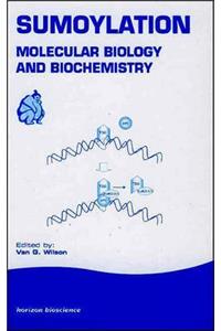 Sumoylation