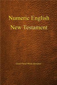 Numeric English New Testament, Greek Plural Words Identified