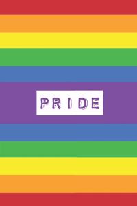 Peace Love Equality Inclusion Journal