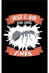 Just A Boy Who Loves Ants
