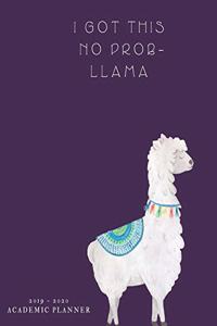 I Got This No Prob - llama