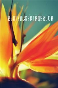 Blutzuckertagebuch