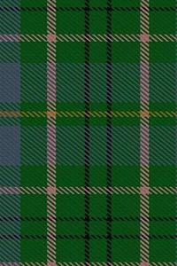 Clan Taylor Tartan Journal/Notebook