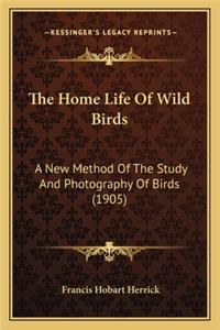 Home Life of Wild Birds the Home Life of Wild Birds