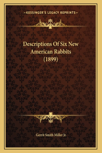 Descriptions Of Six New American Rabbits (1899)