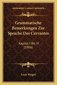 Grammatische Bemerkungen Zur Sprache Des Cervantes