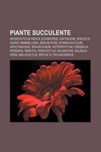 Piante Succulente