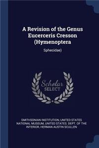 A Revision of the Genus Eucerceris Cresson (Hymenoptera