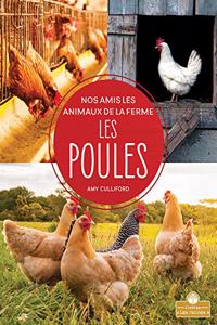 Les Poules (Chickens)