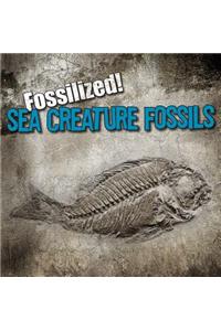 Sea Creature Fossils
