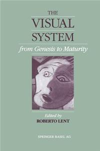 Visual System from Genesis to Maturity