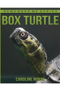 Box Turtles