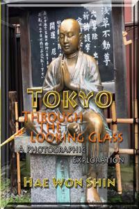 Tokyo Through the Looking Glass: A Photographic Exploration