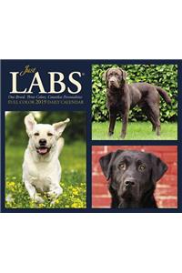 Just Labs 2019 Box Calendar (Dog Breed Calendar)
