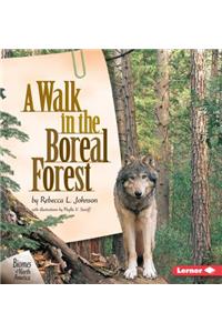 Walk in the Boreal Forest