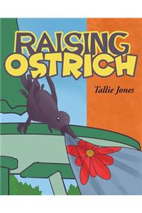 Raising Ostrich