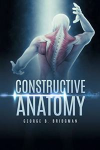 Constructive Anatomy