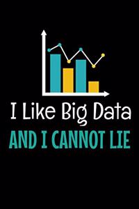 I Like Big Data And I Cannot Lie