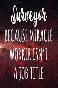 Surveyor Because Miracle Worker Isn't A Job Title