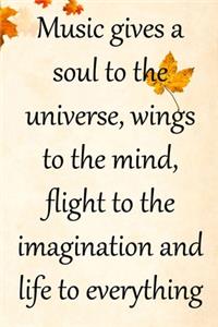 Music gives a soul to the universe, wings to the mind, flight to the imagination and life to everything