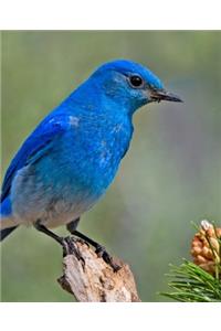 Gratitude Prayer Journal for Rehabilitation