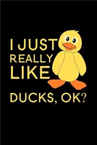 I Just Really Like Ducks, Ok