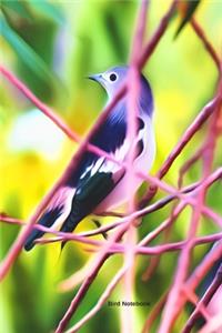 Bird Notebook