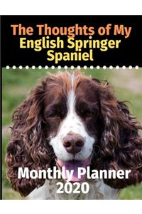 The Thoughts of My English Springer Spaniel