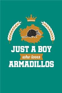Just A Boy Who Loves Armadillos