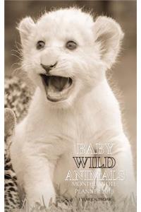 Baby Wild Animals Monthly Note Planner 2019 1 Year Calendar