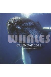 Whales Calendar 2019