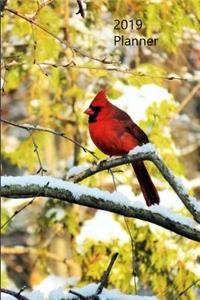 2019 Planner