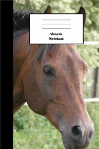 Veneza Notebook