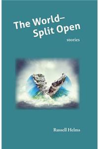 The World Split Open