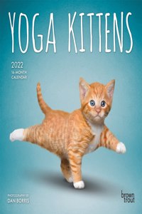 Yoga Kittens 2022 Mini
