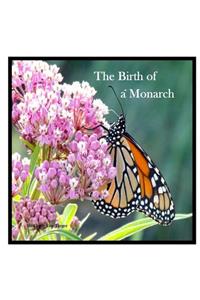 Birth Of A Monarch