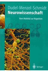 Neurowissenschaft: Vom Molek L Zur Kognition