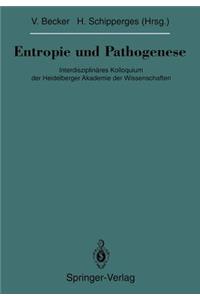 Entropie Und Pathogenese