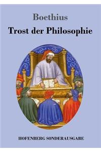 Trost der Philosophie