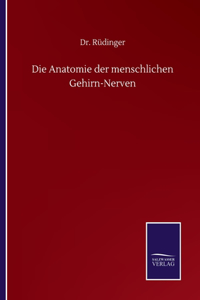 Anatomie der menschlichen Gehirn-Nerven