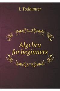 Algebra for Beginners